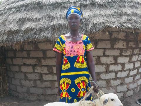 photo of Diokeen Gole G1 Sare Yero Bamby Group