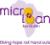 MicroLoan Foundation (MLF) Malawi