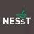 NESsT