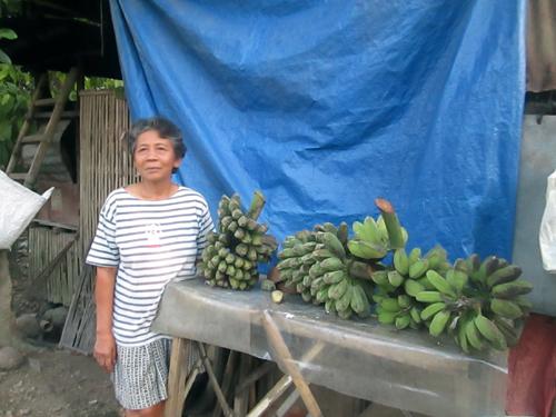 Borrower image