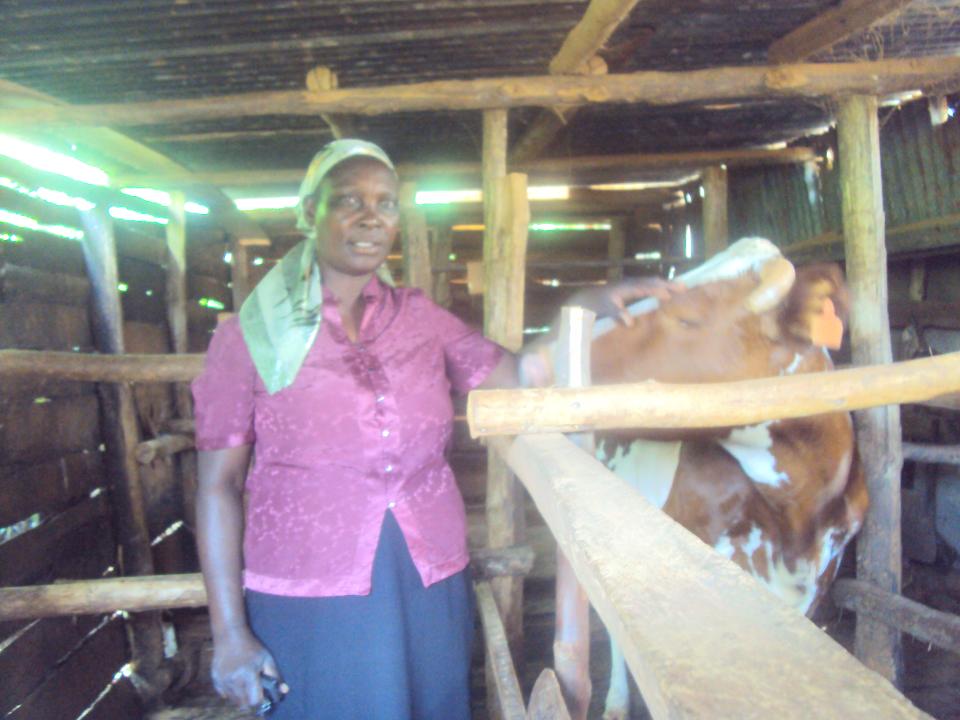 Borrower image