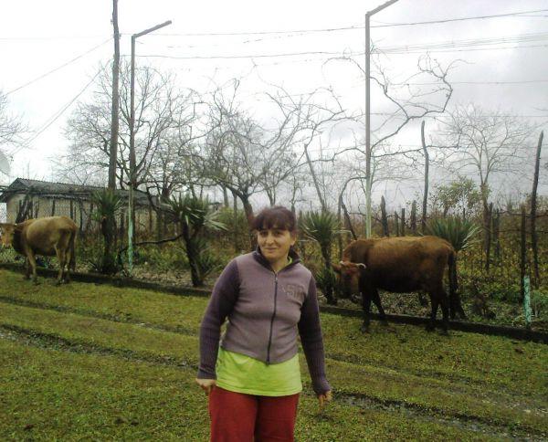 Borrower image