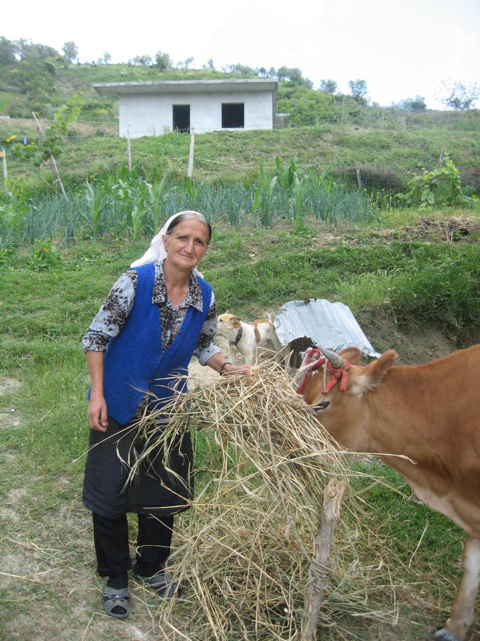 Borrower image