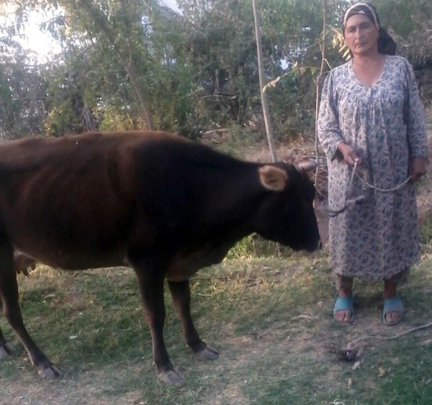 Borrower image