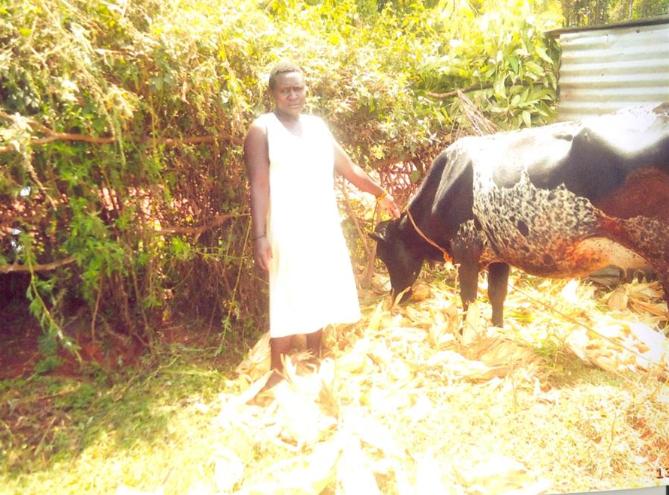 Borrower image