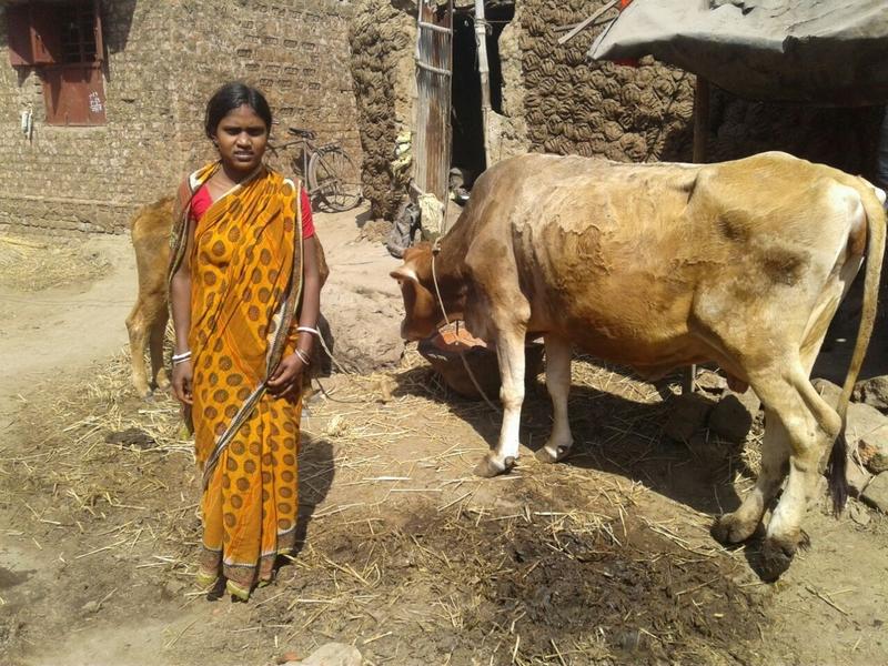 Borrower image