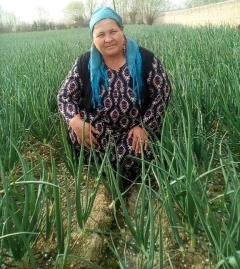 Borrower image