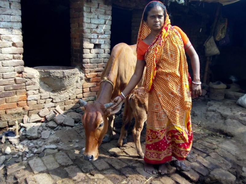 Borrower image