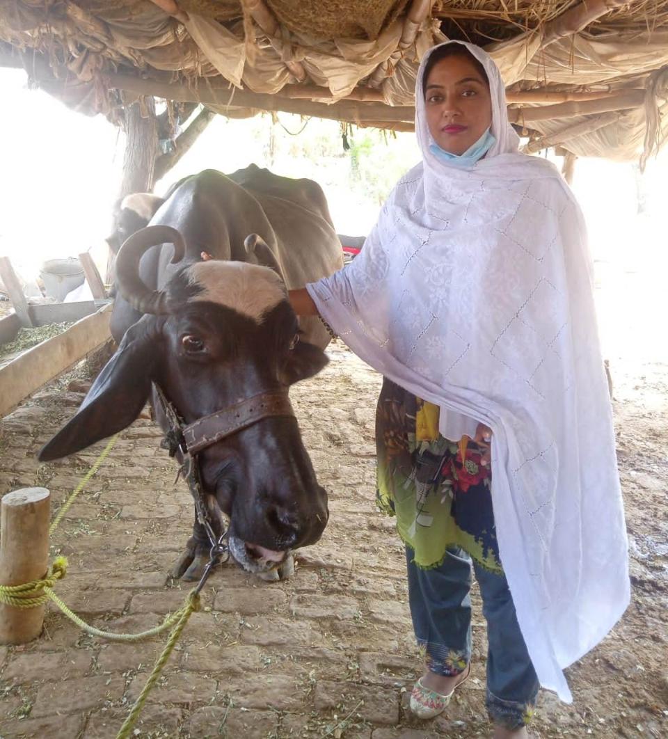 Borrower image