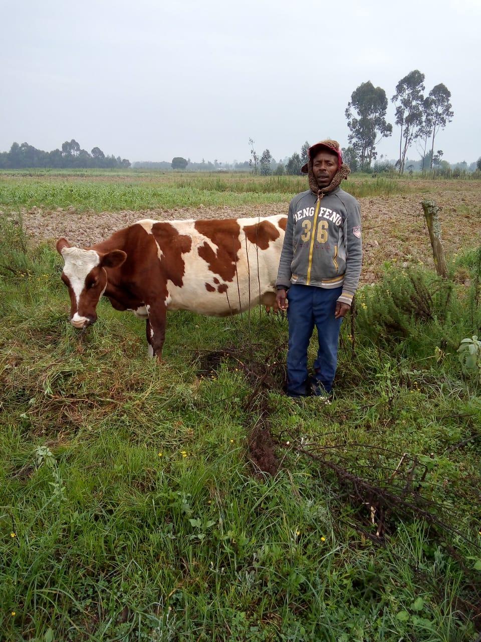 Borrower image
