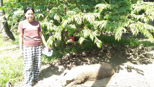 Borrower image