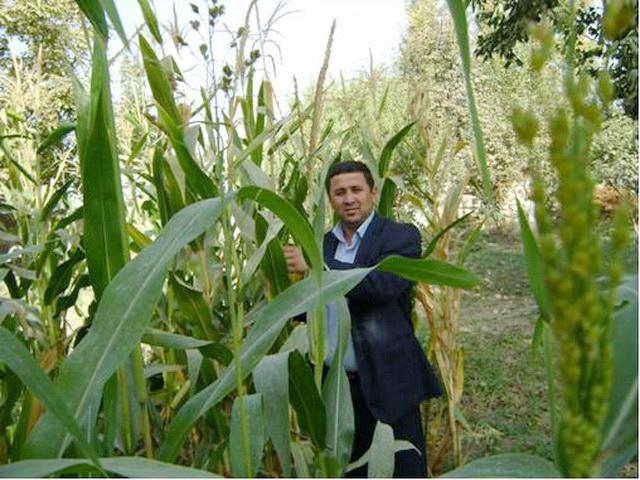 Borrower image