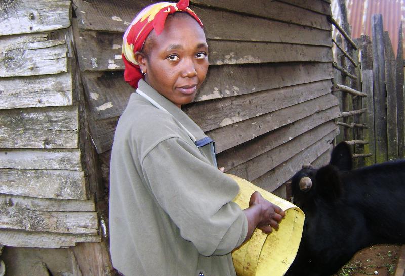 Borrower image