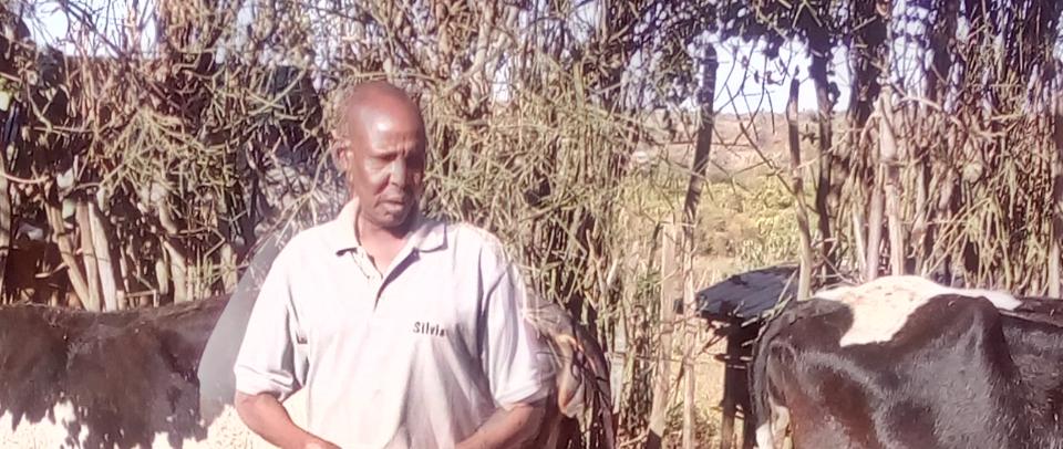 Borrower image