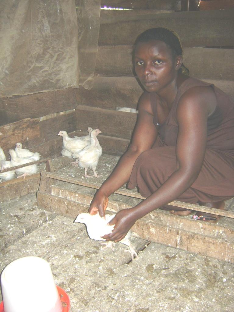 Borrower image