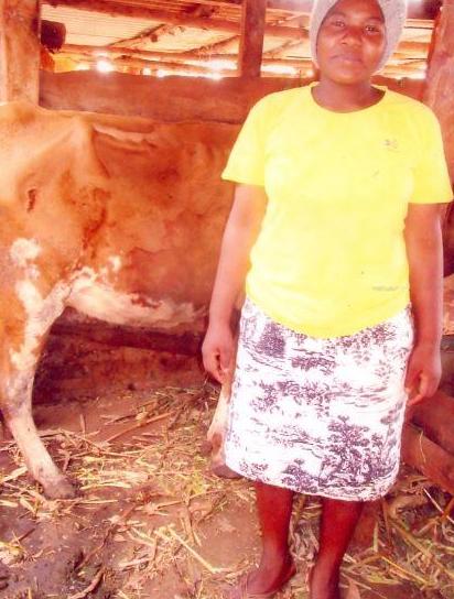 Borrower image