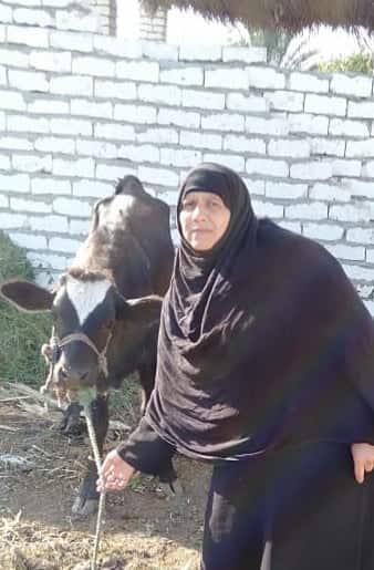 Borrower image