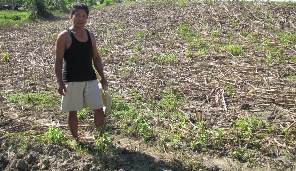 Borrower image