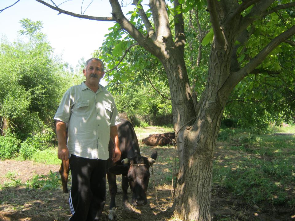 Borrower image