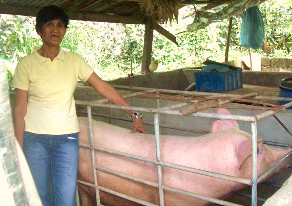 Borrower image