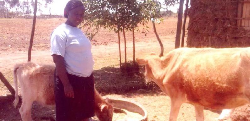 Borrower image