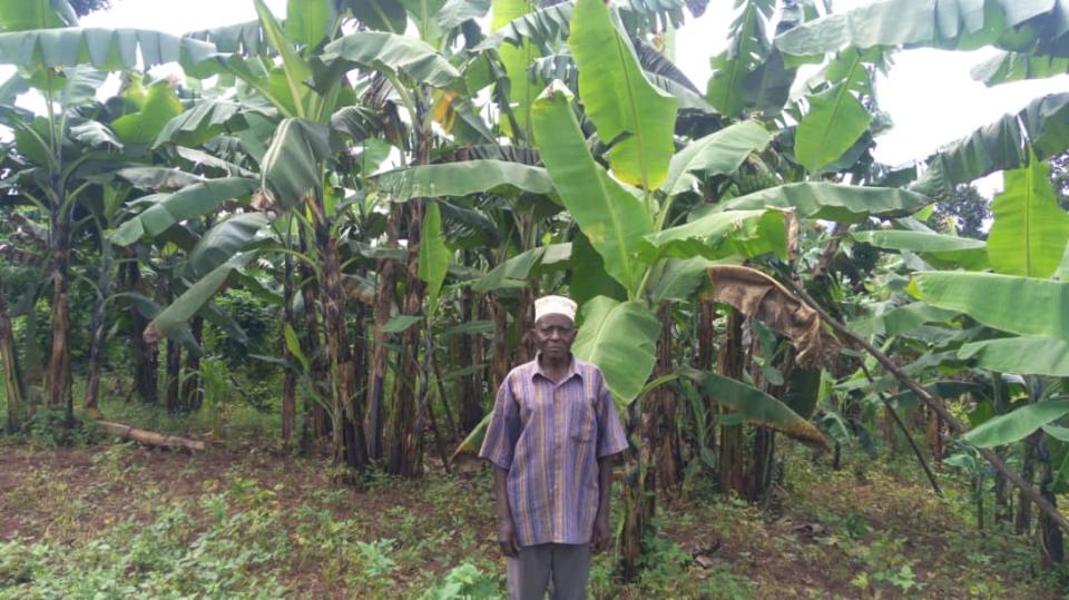 Borrower image