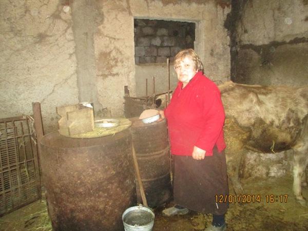 Borrower image