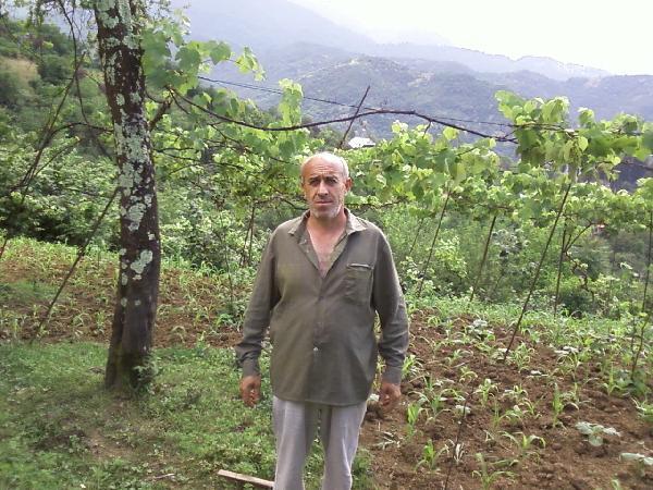 Borrower image